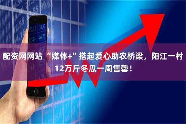配资网网站 “媒体+”搭起爱心助农桥梁，阳江一村12万斤冬瓜一周售罄！
