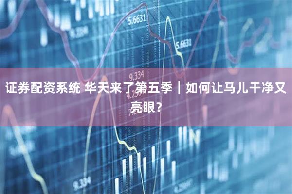 证券配资系统 华天来了第五季｜如何让马儿干净又亮眼？